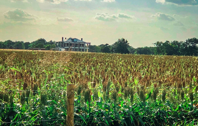Texas Chainsaw Massacre House 2